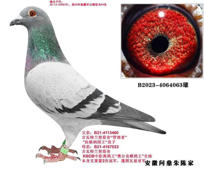 ��������Ŭ 063