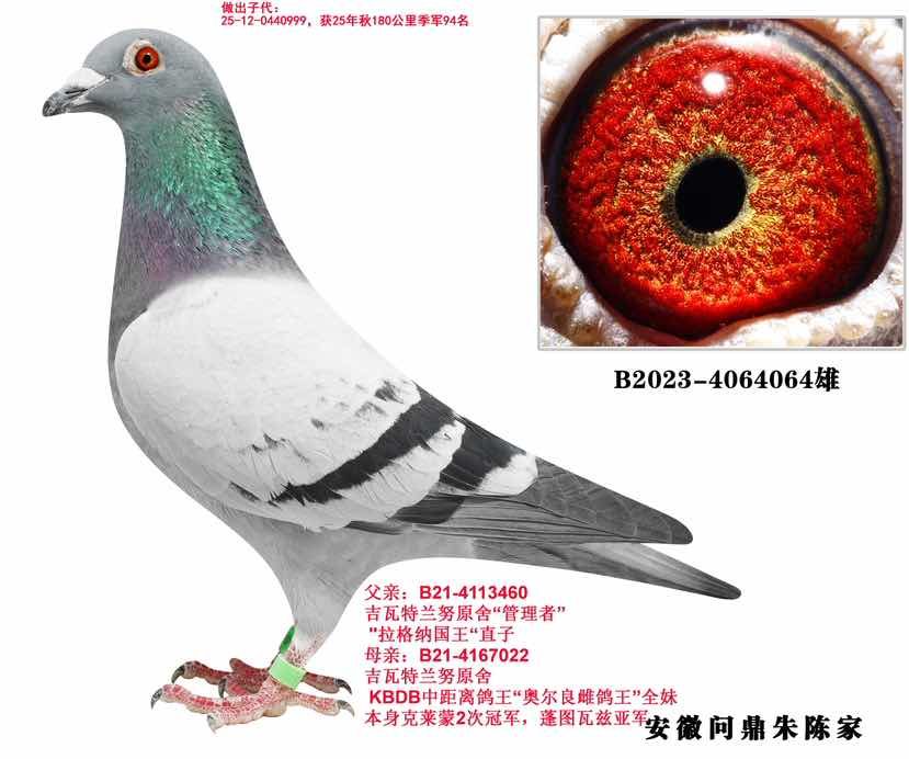 ��������Ŭ 064