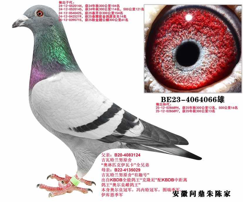 ��������Ŭ 066