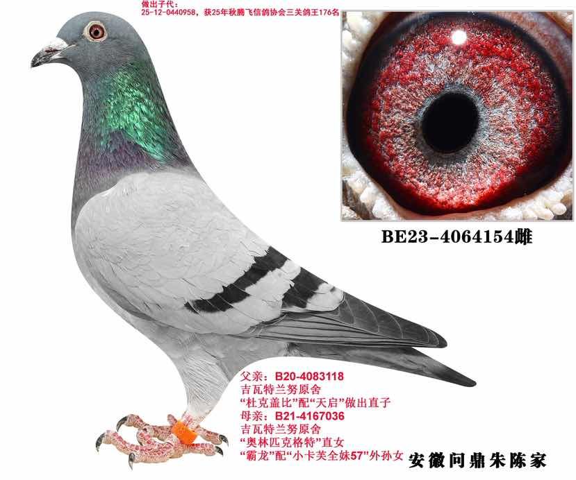 ��������Ŭ 154