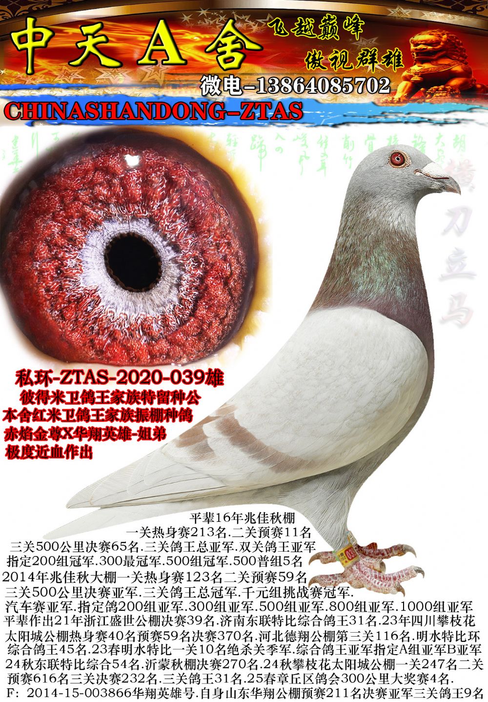 ����������Ѫ20