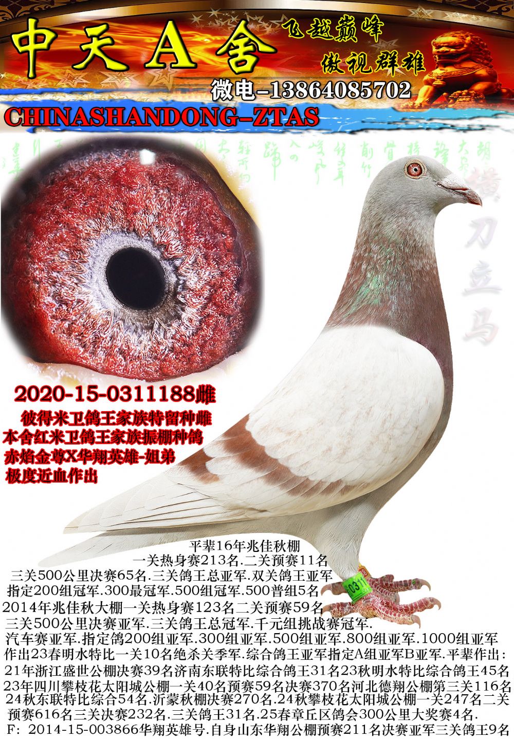 ���׽�Ѫ088�ִ�