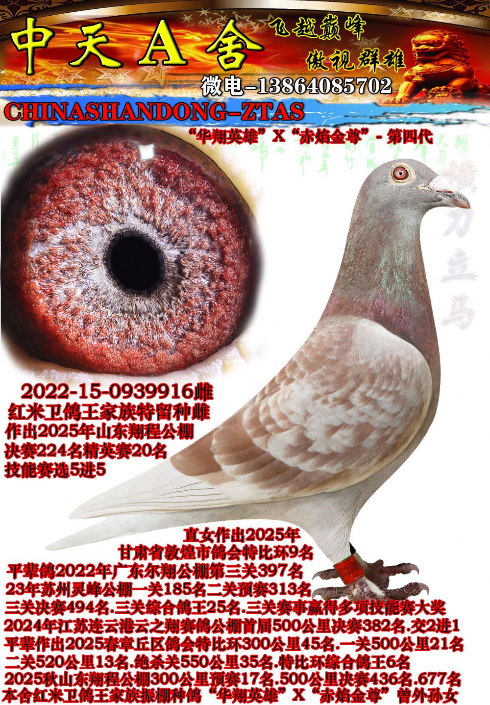 ��Ӣ��20��֮ĸ