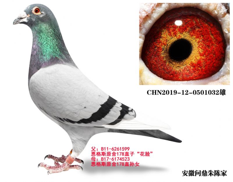 ����ֱ��032