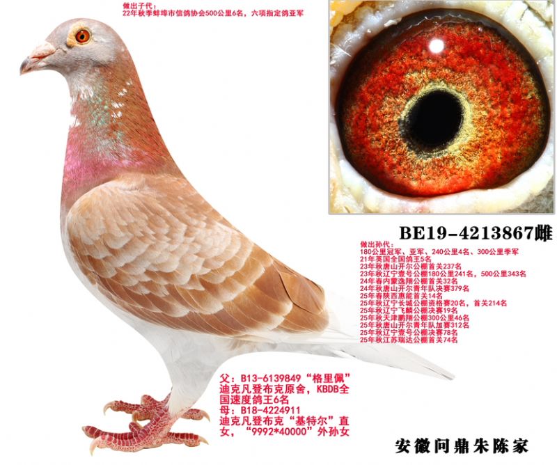 ������ֱŮ��ĸ867