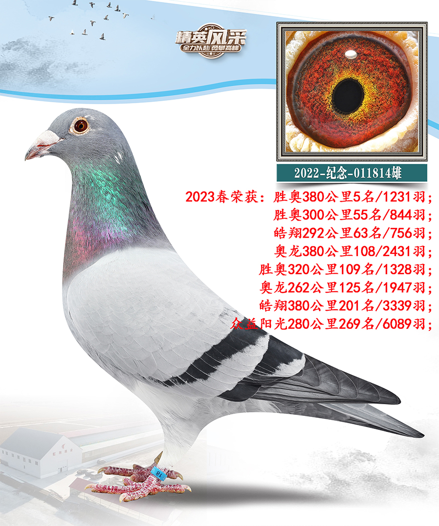 ����x��ʱ��