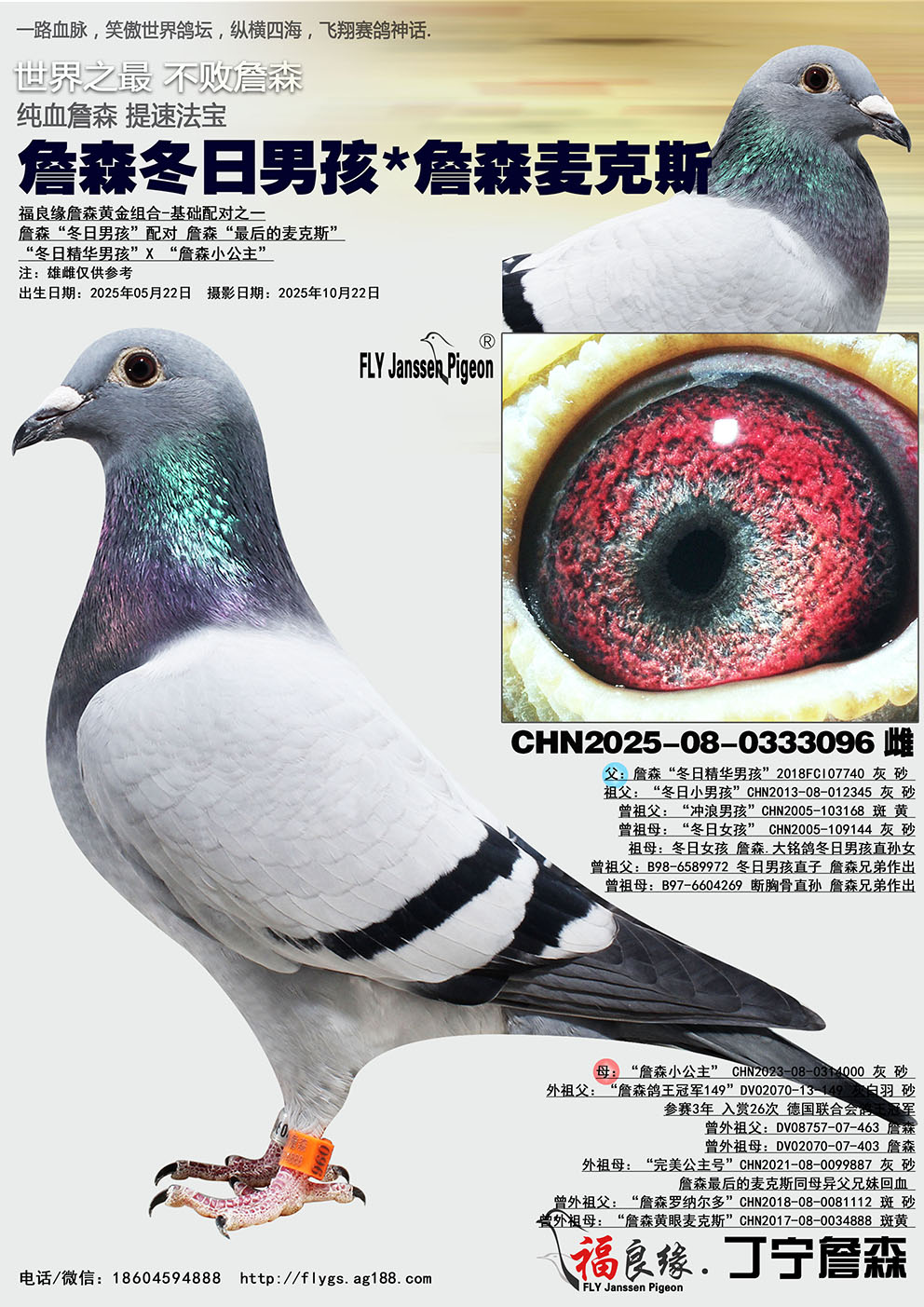 ղɭ�����к�*ղɭ���˹