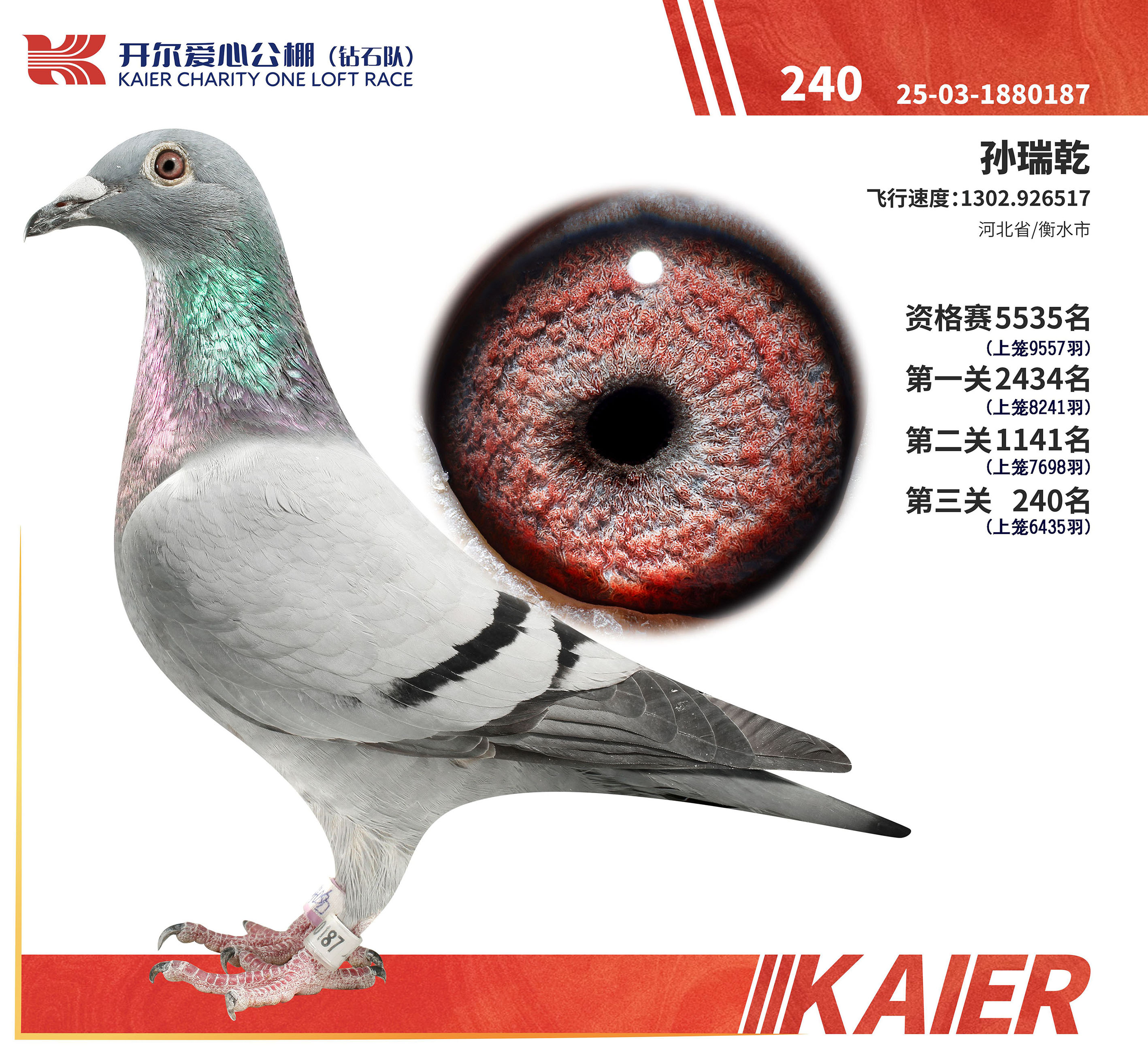 ����240��