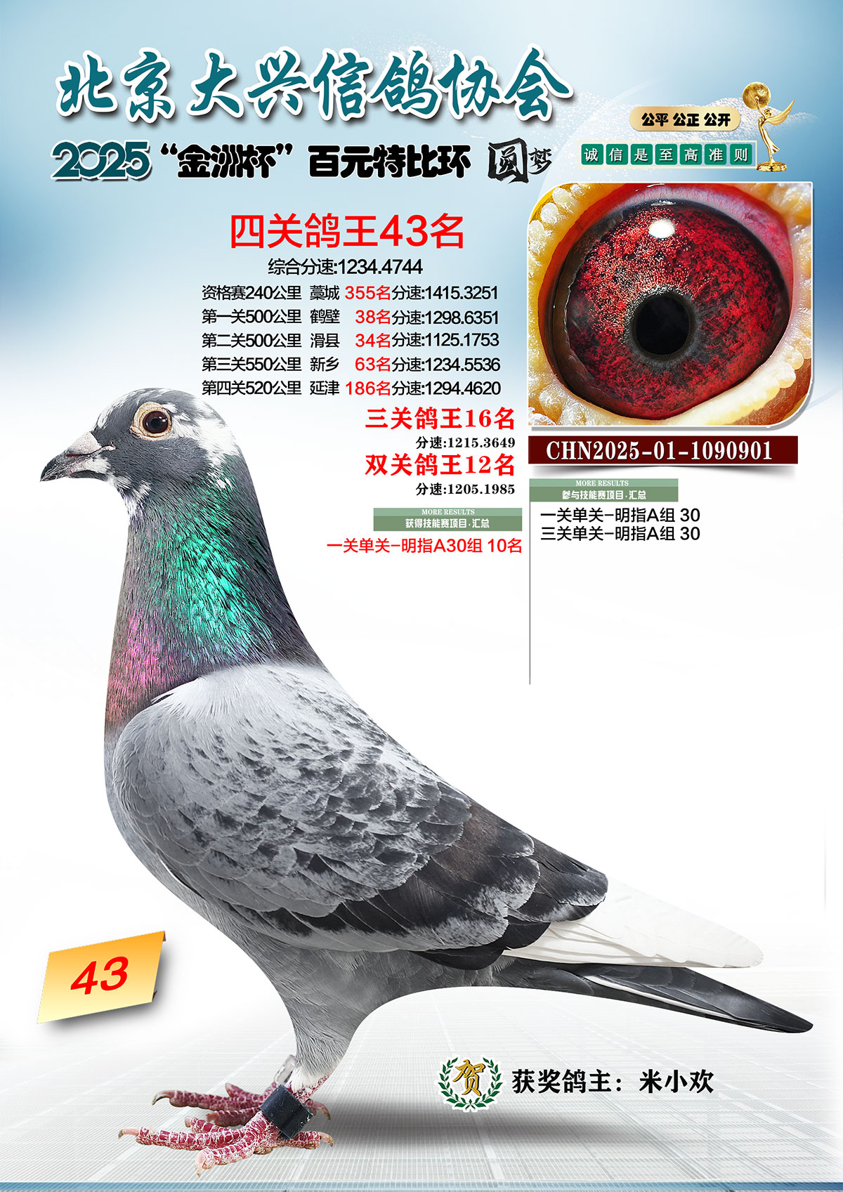 ���˽��ޱ�����43��.1090901