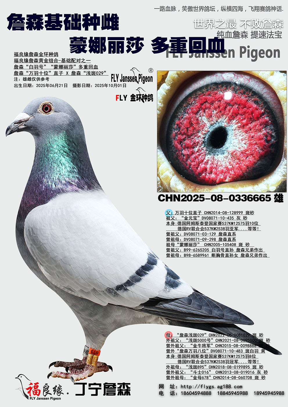 ղɭ������ɯ��Ѫ