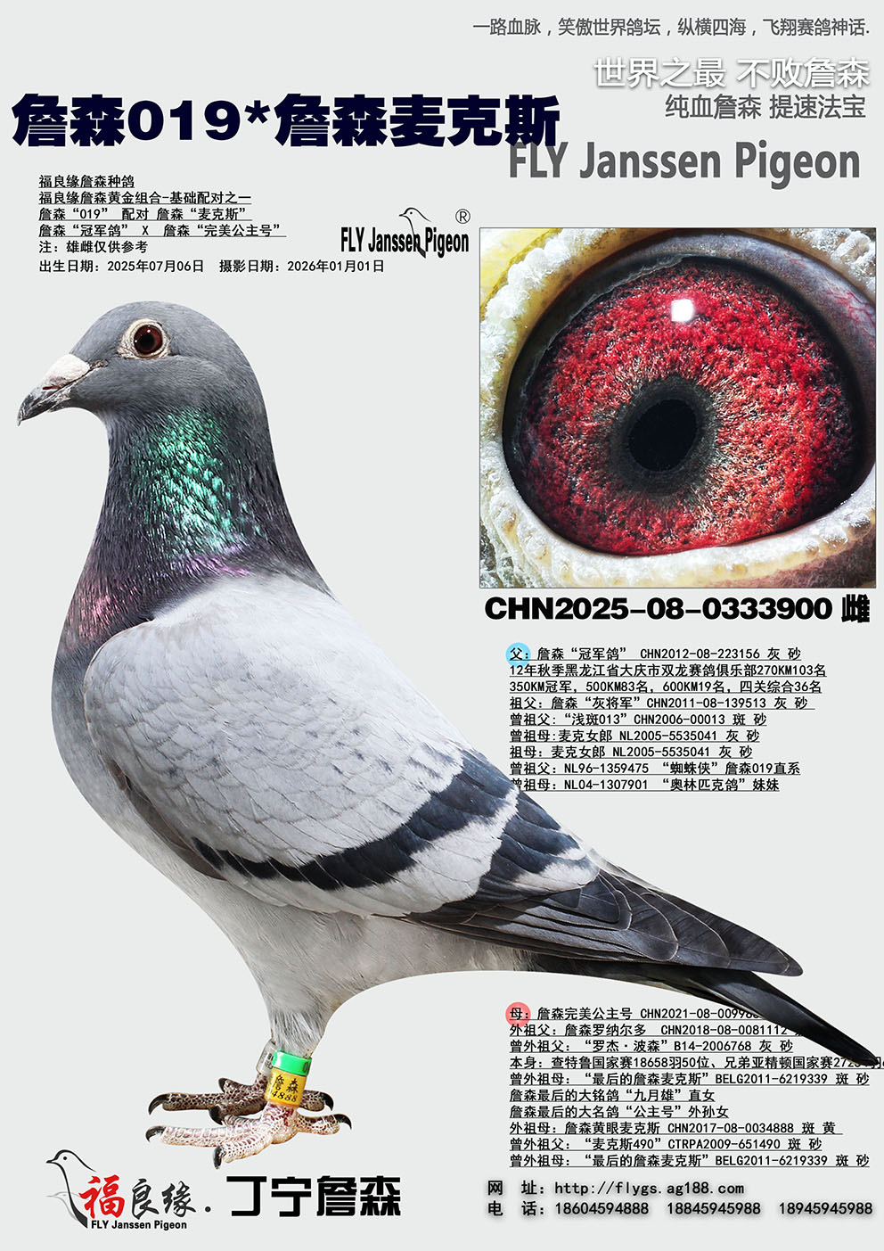 ղɭ019*ղɭ���˹