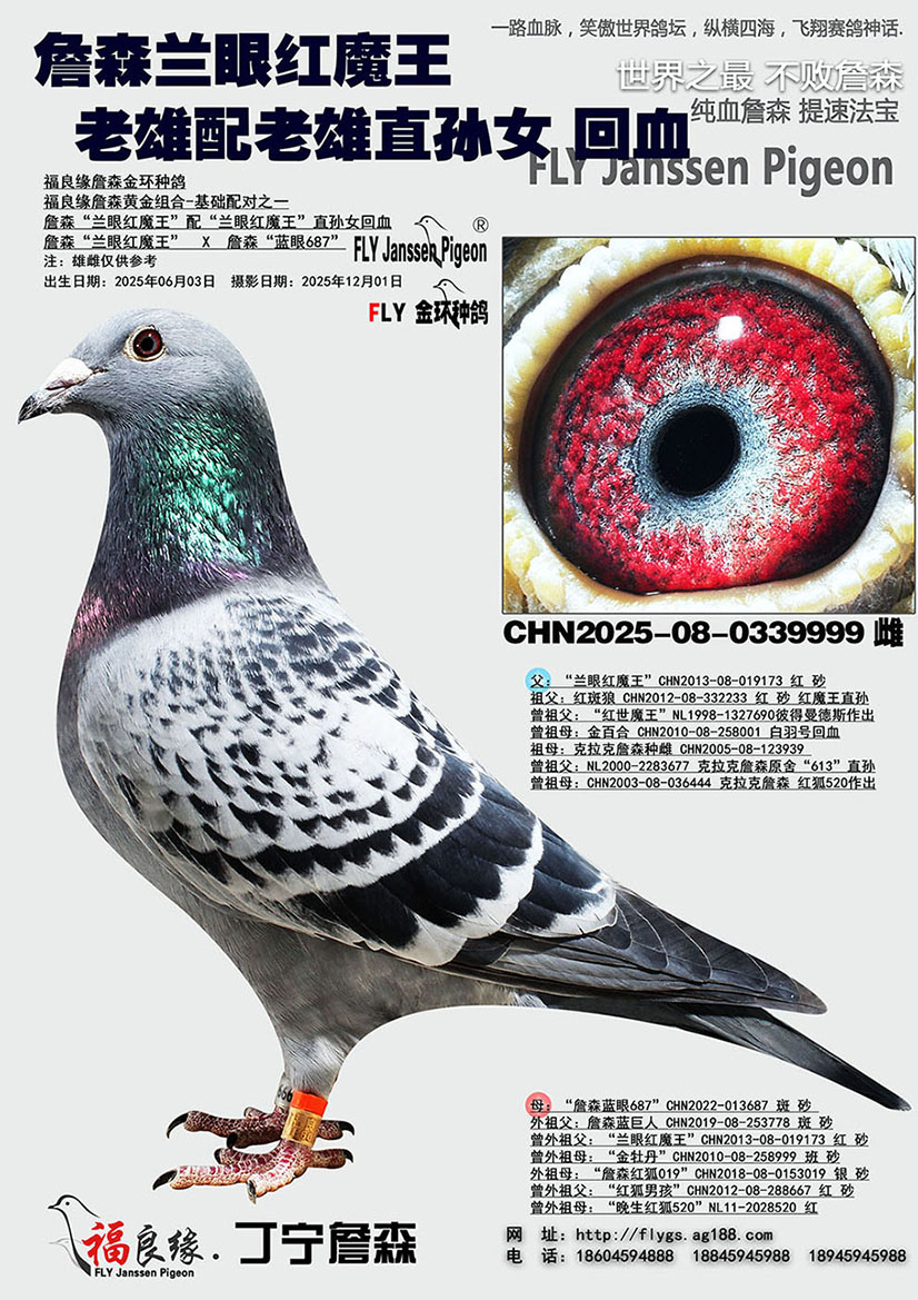 ղɭ���ۺ�ħ�� ������ֱ��Ů ��Ѫ