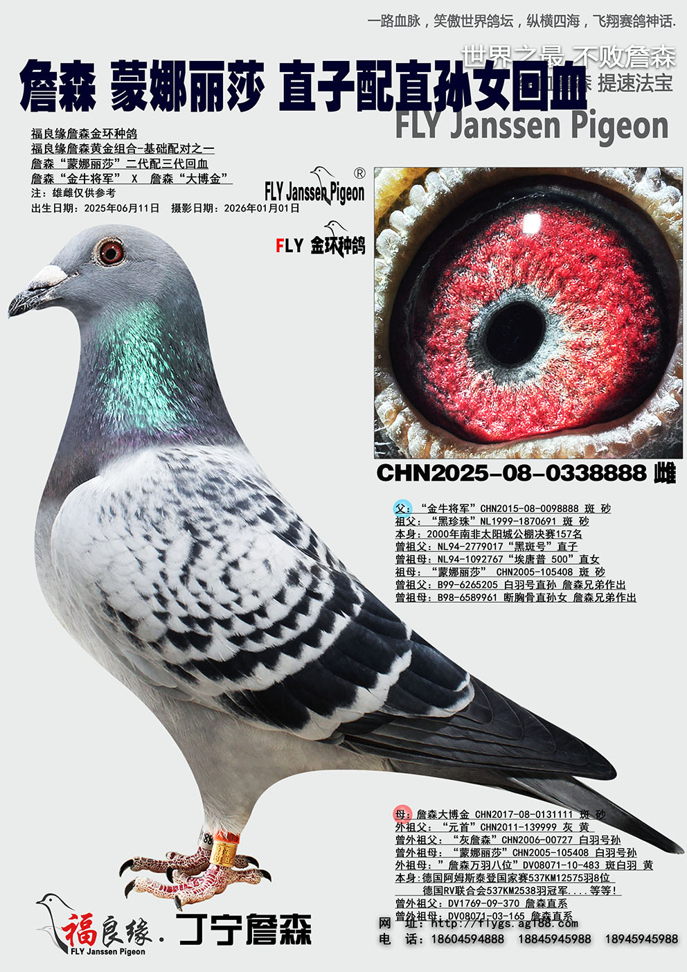 ղɭ������ɯֱ��*ֱ��Ů