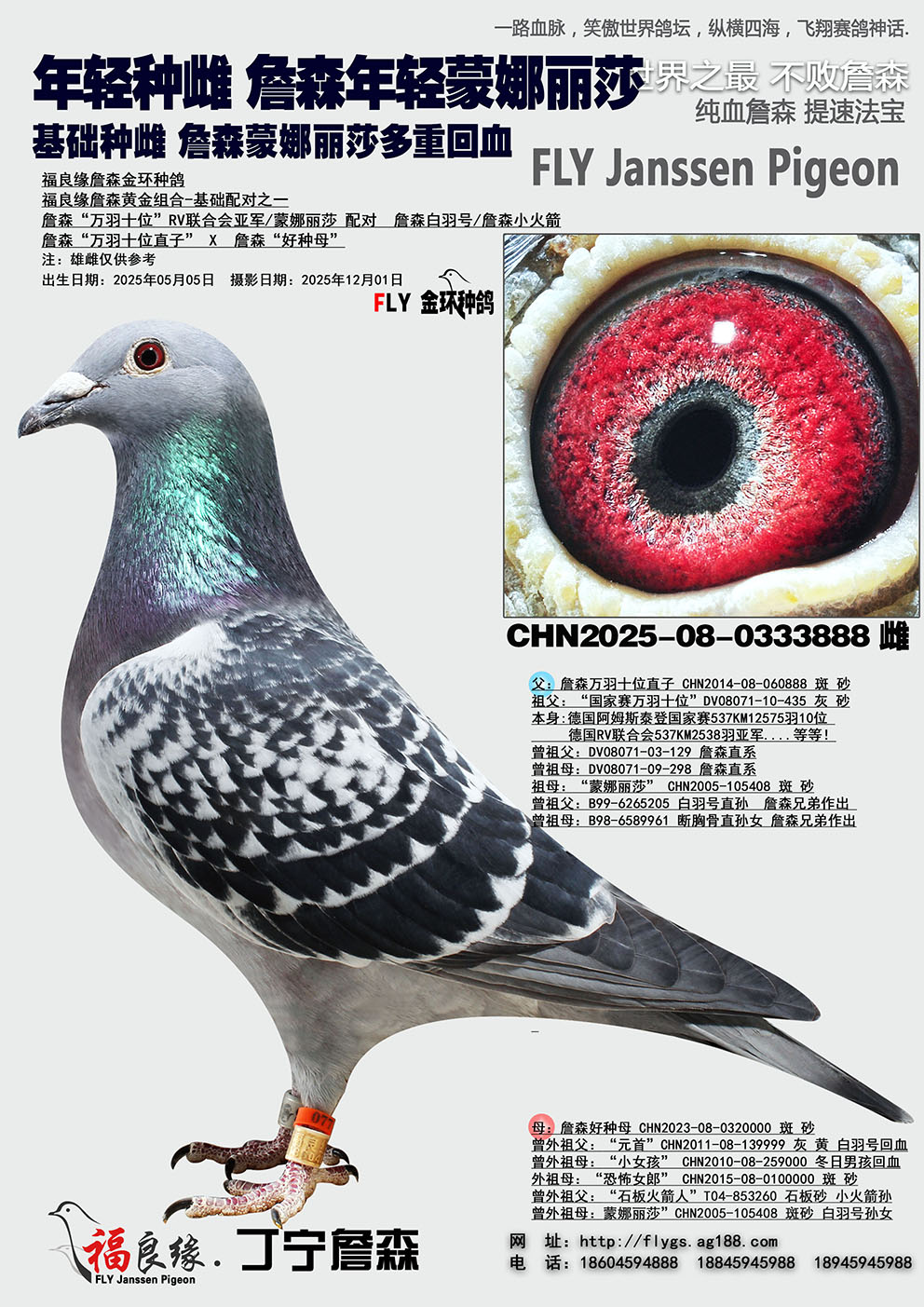 ղɭ������ɯ��Ѫ