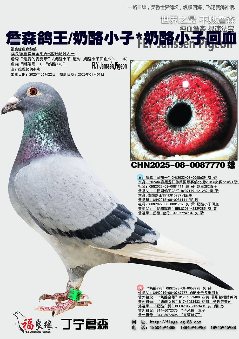 ղɭ����/����С��*����С��