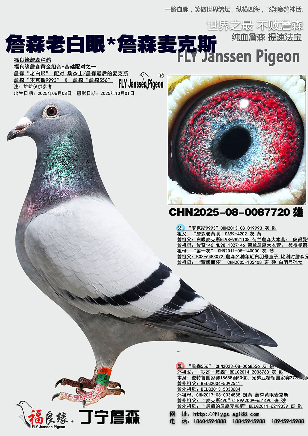 ղɭ�ϰ���*ղɭ���˹