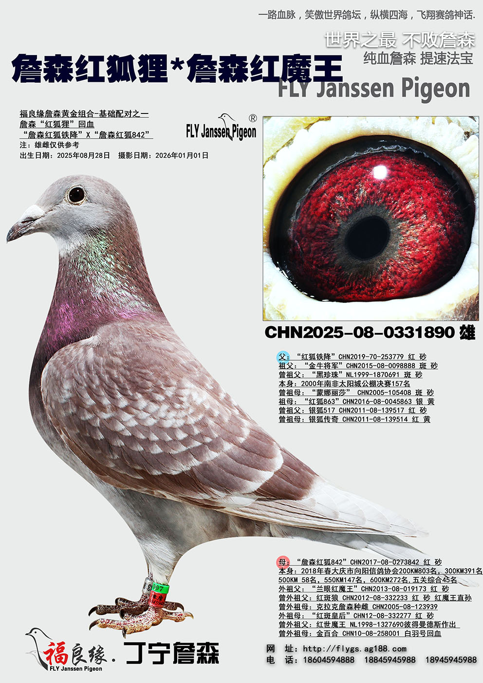 ղɭ�����*ղɭ��ħ��