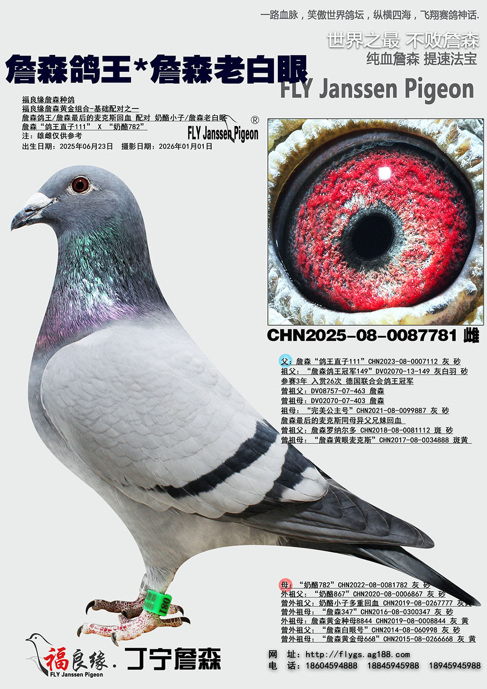 ղɭ����*ղɭ�ϰ���