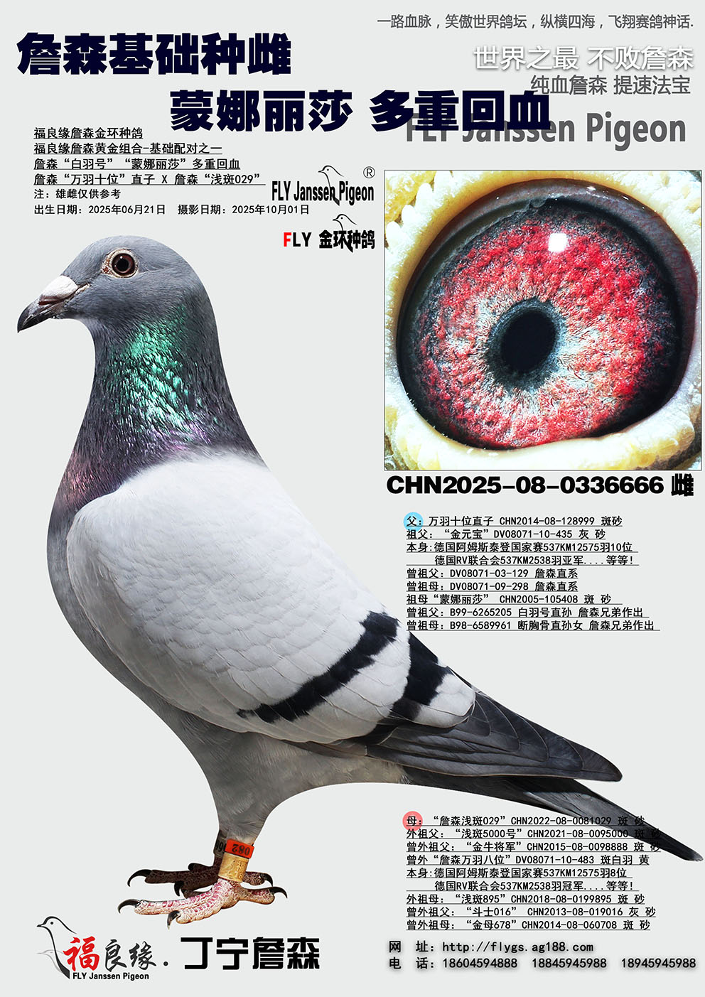 ղɭ������ɯ��Ѫ