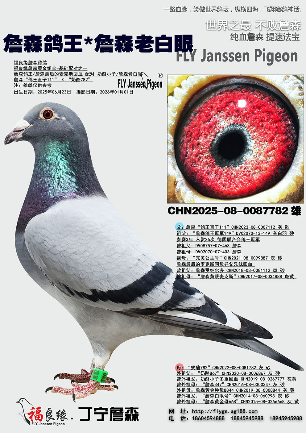 ղɭ����*ղɭ�ϰ���