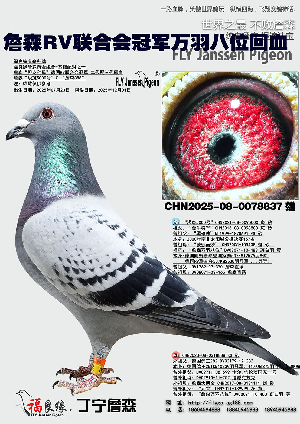 ղɭRV���ϻ�ھ������λ��Ѫ