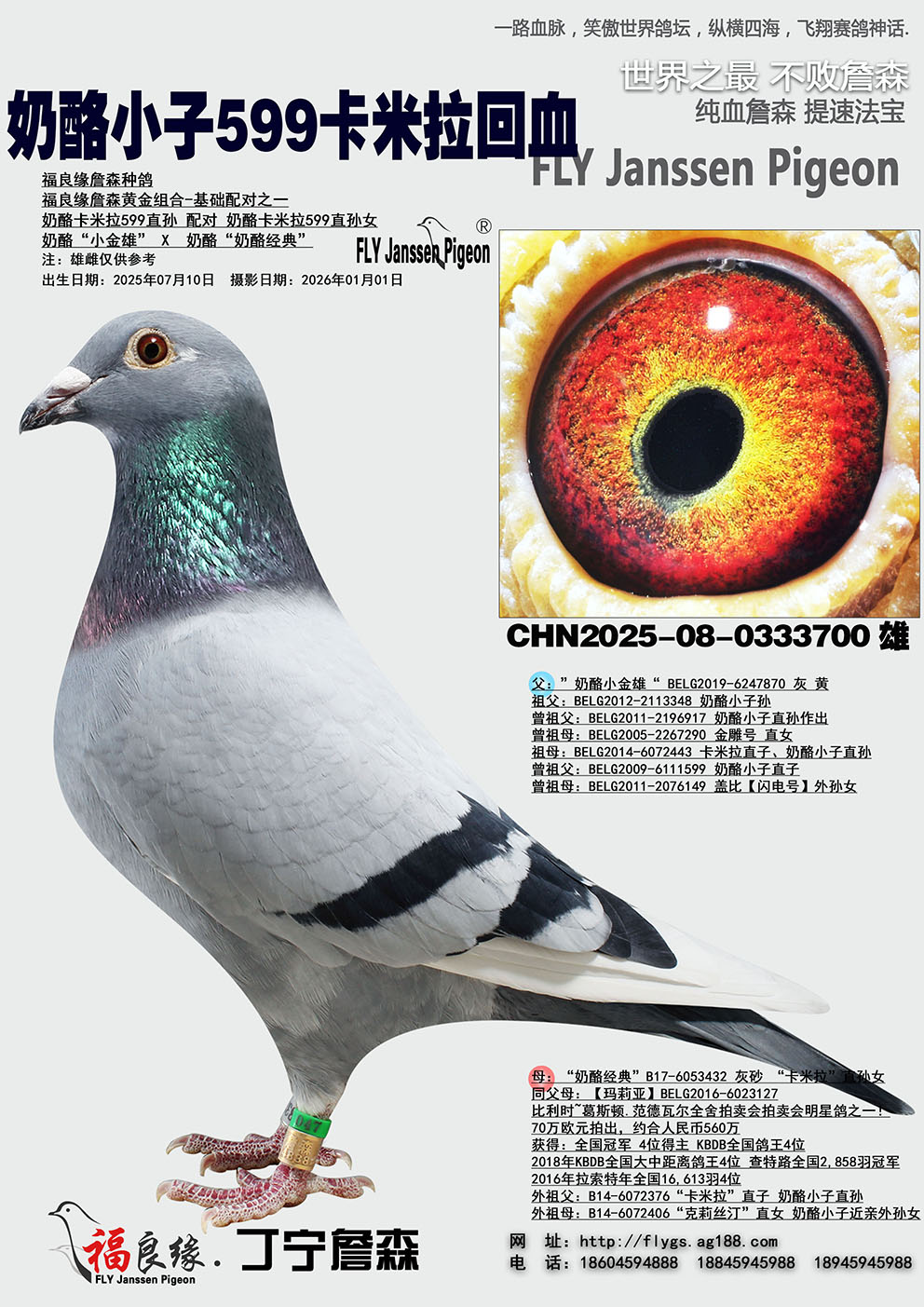 ���������ָ롰��������599��Ѫ