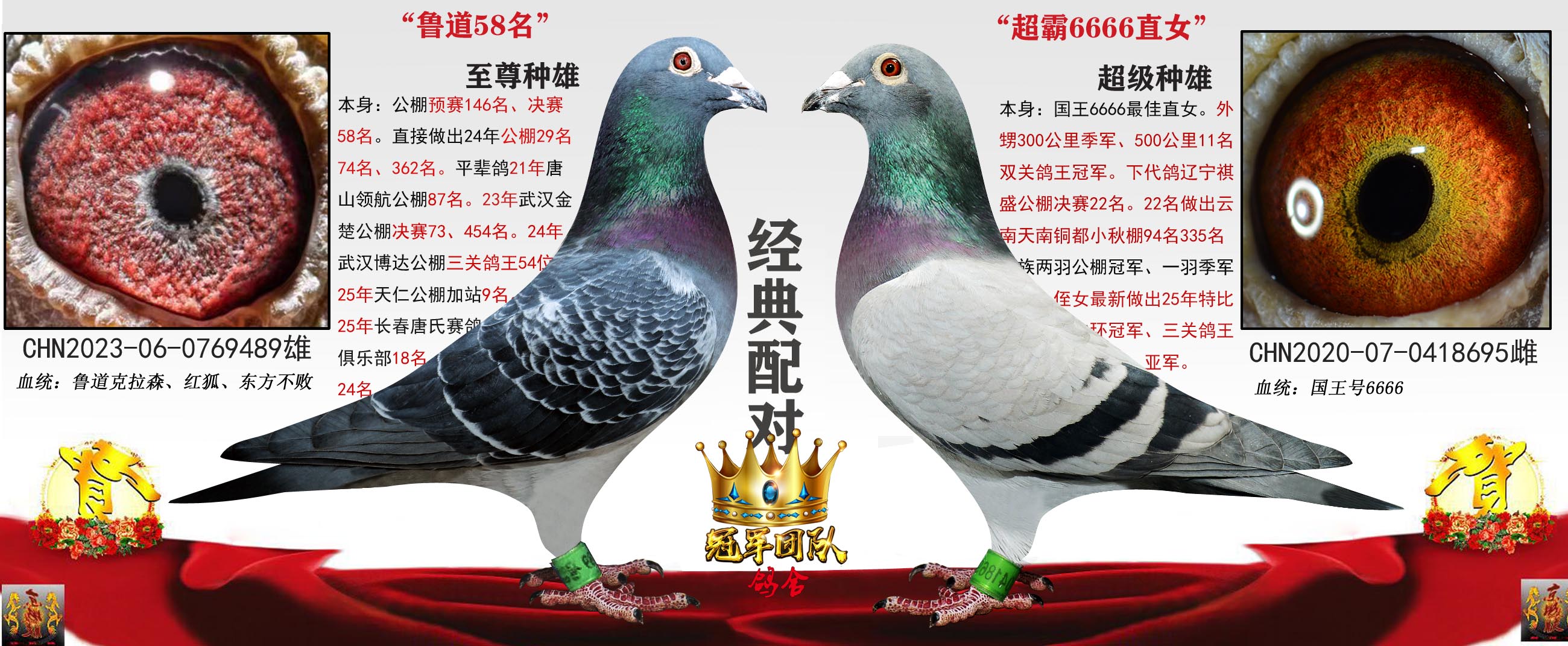 ³���������58��X6666��ĸ