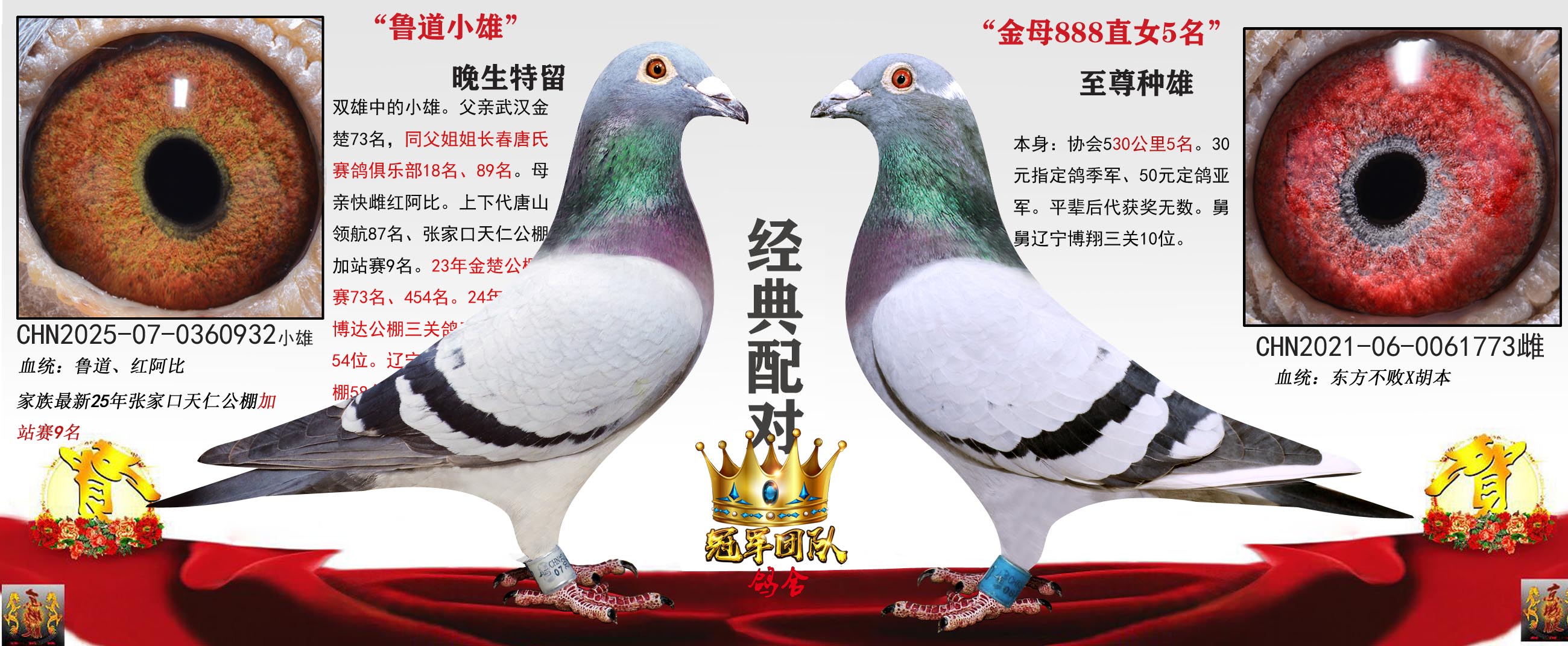 С����  X  ��ĸ5��