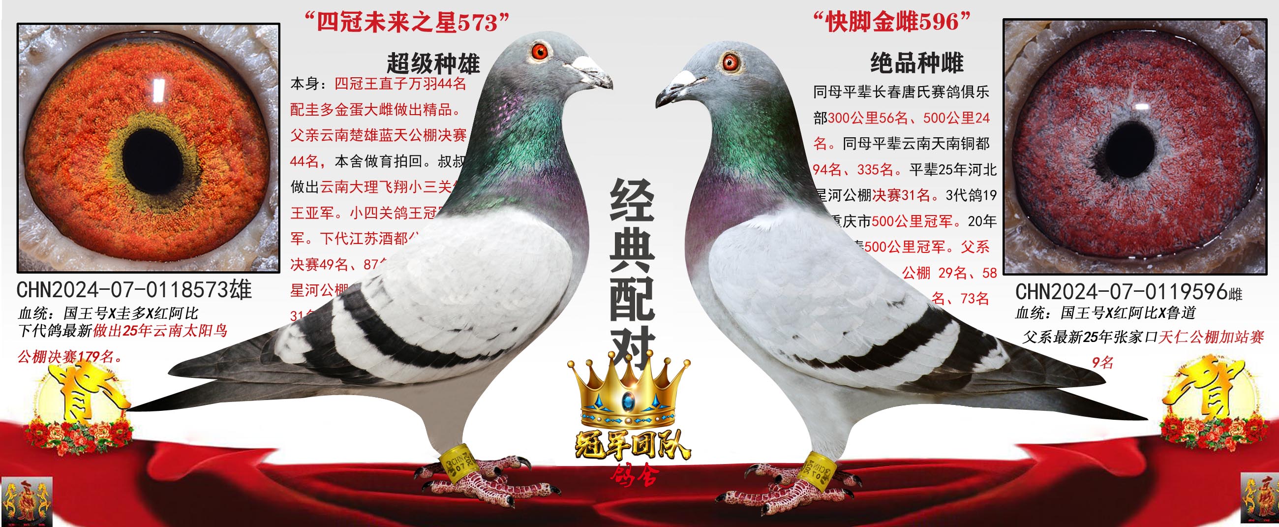 ���������Զ����