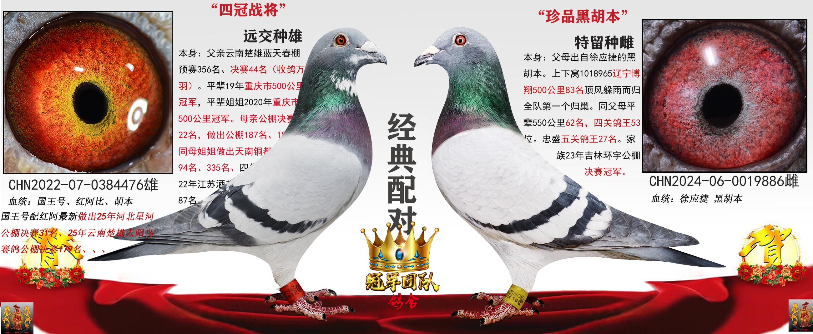 ����ͭ��94���˾�X��Ʒ�ں�����Զ���䣩