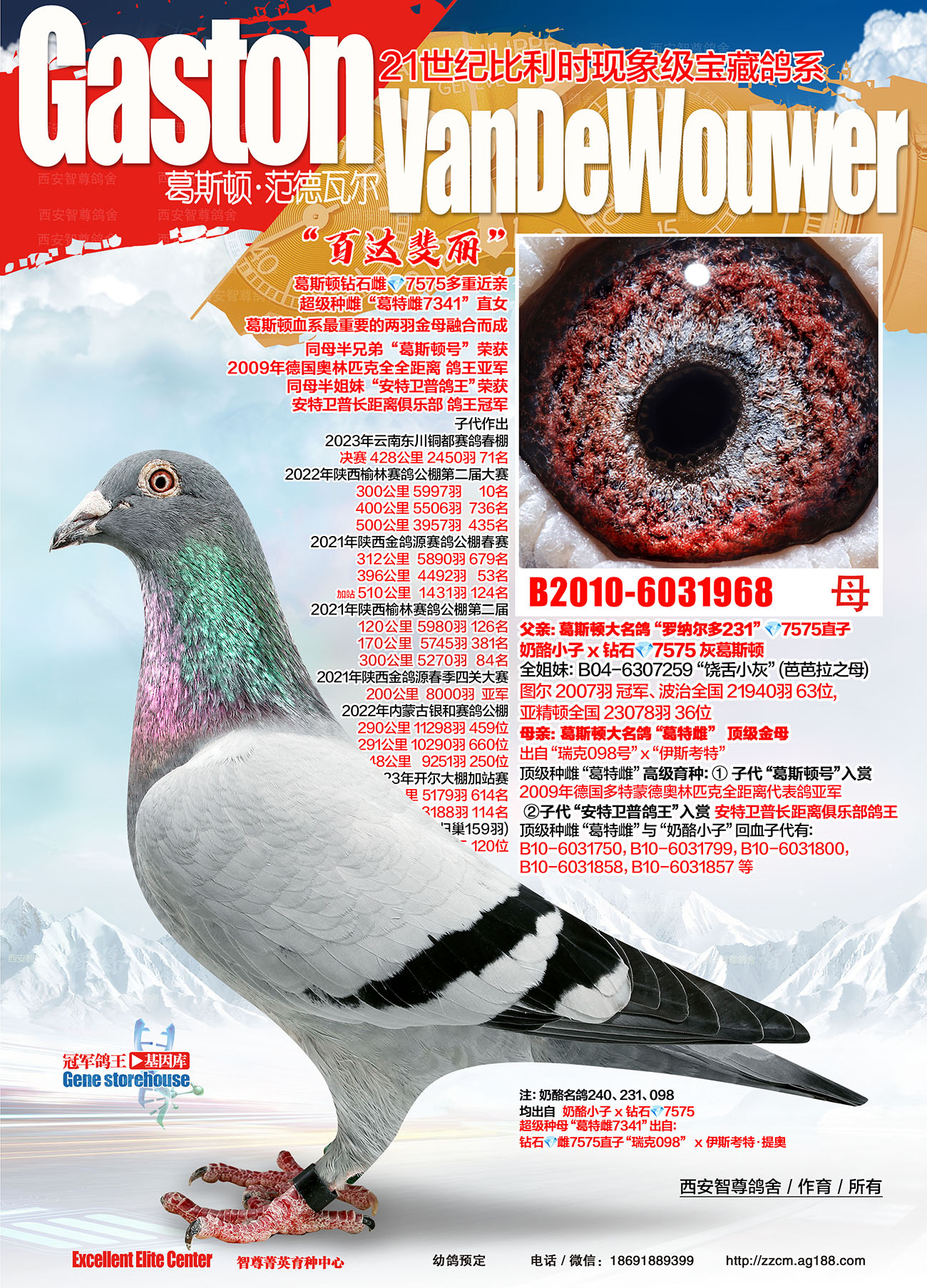 ��������231ֱŮ