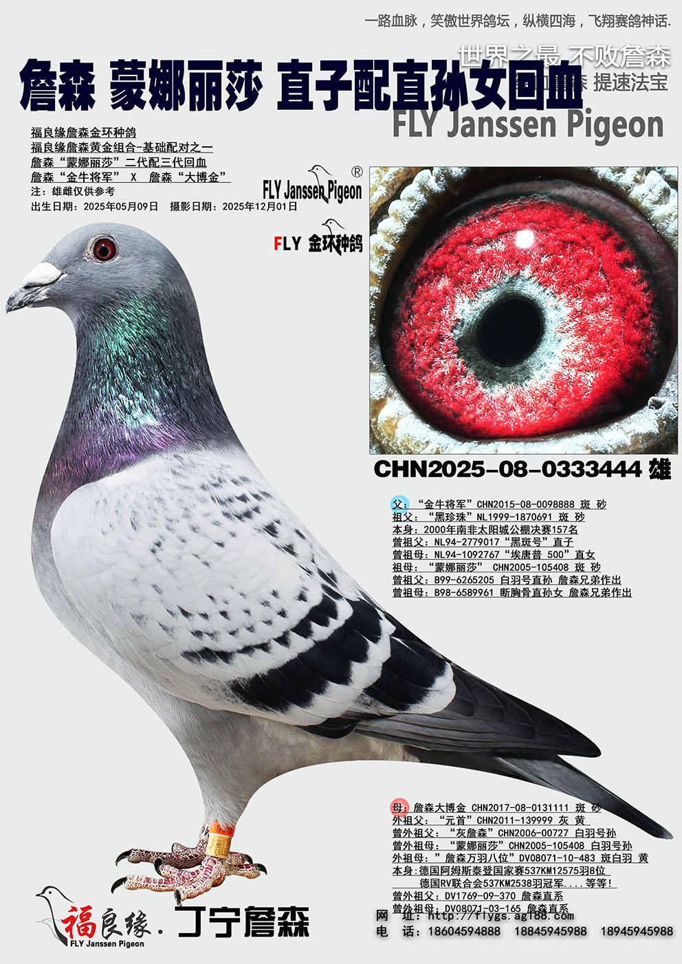 ղɭ������ɯֱ��*ֱ��Ů