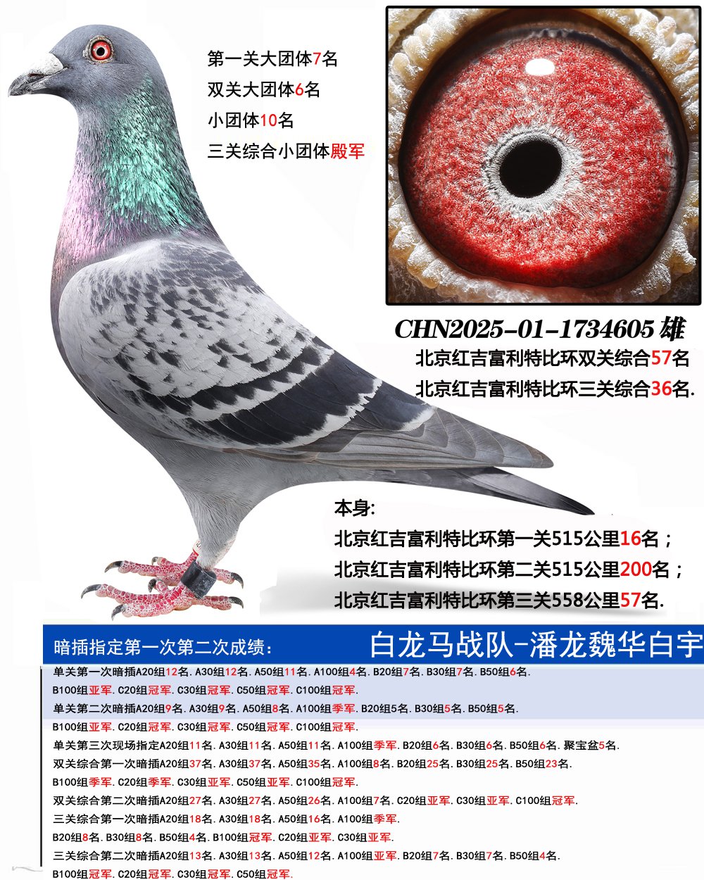 �����켪�����رȻ������ۺ�36��.