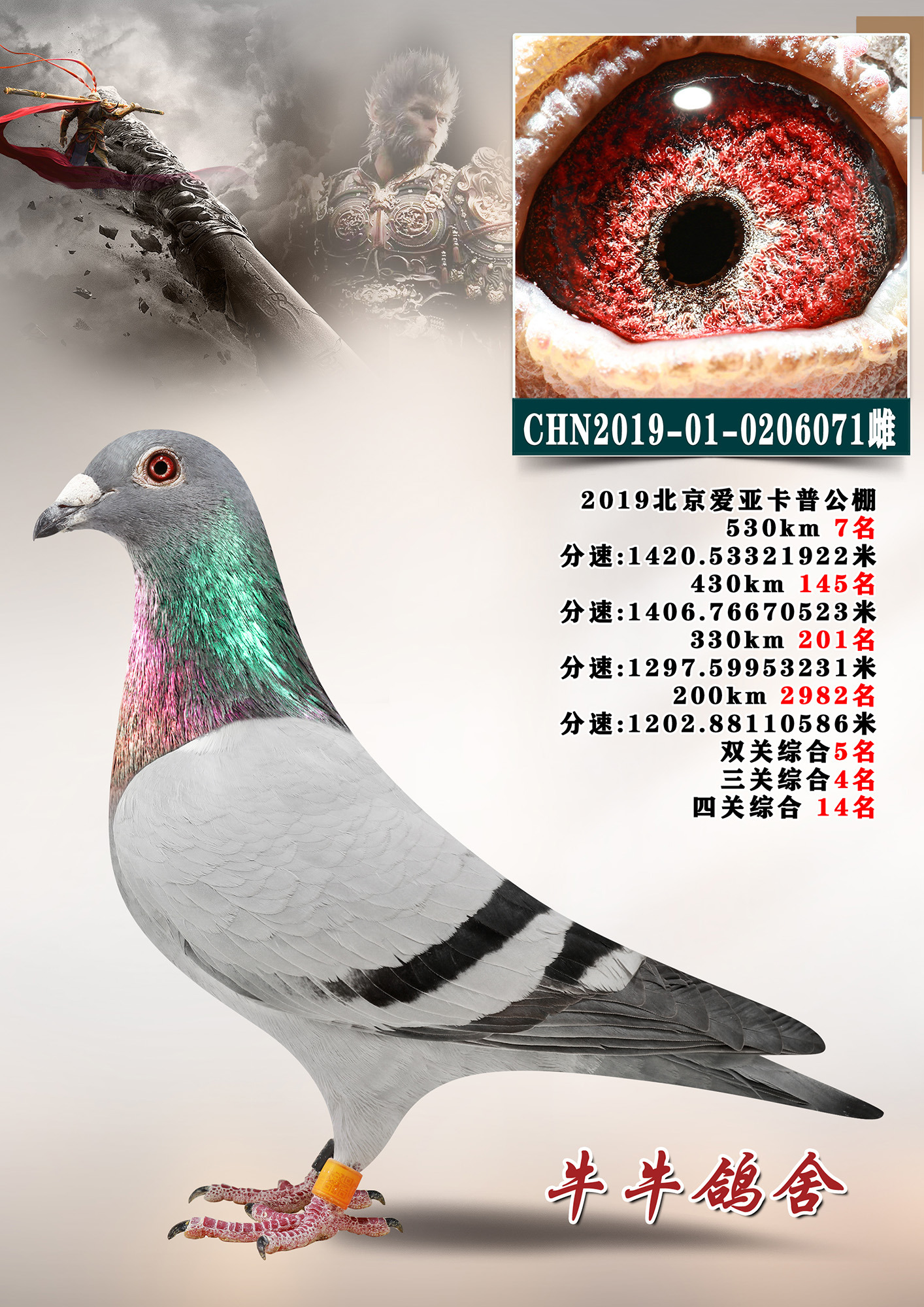 �������՛Qِ7��