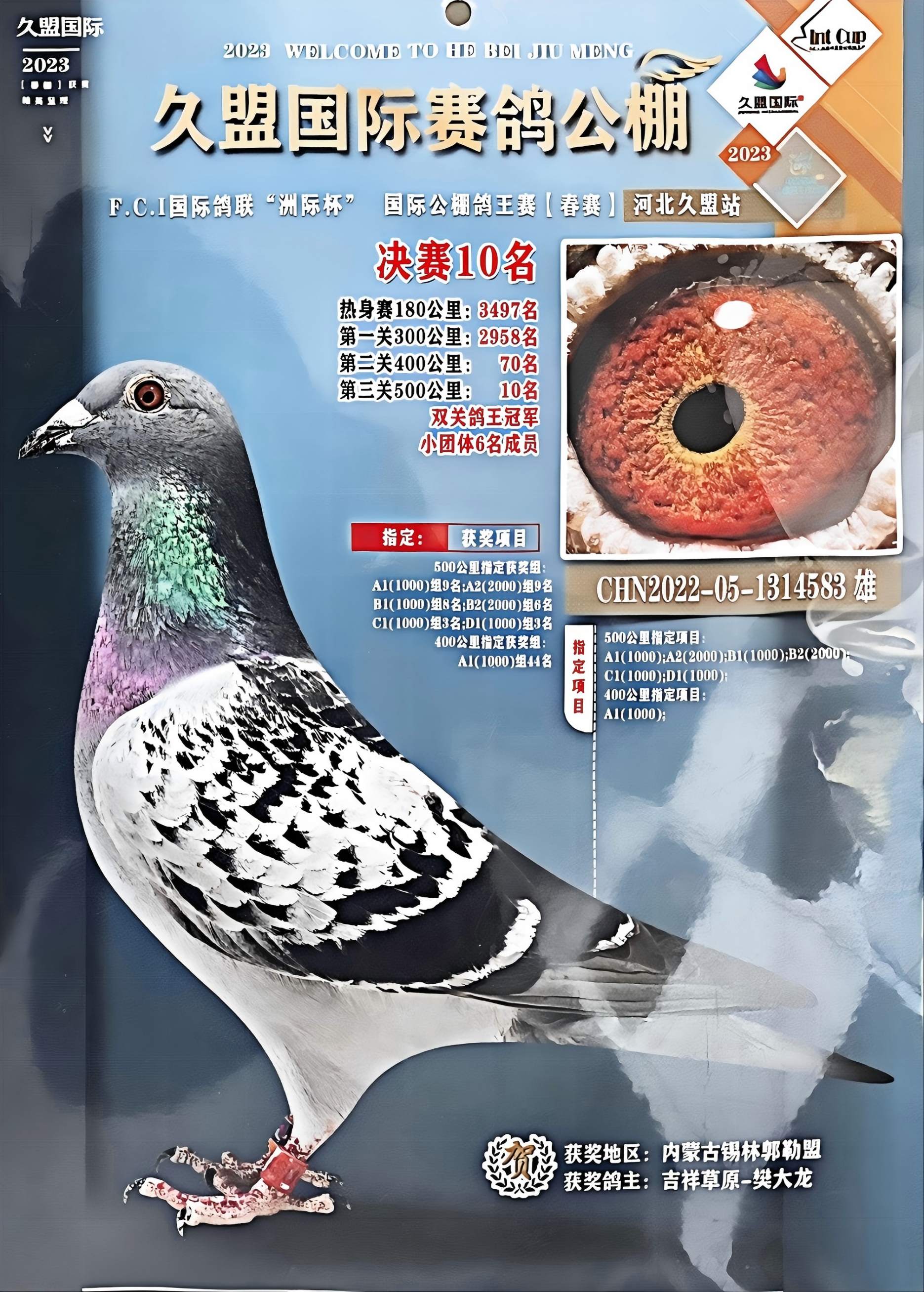 �������˸����ھ�