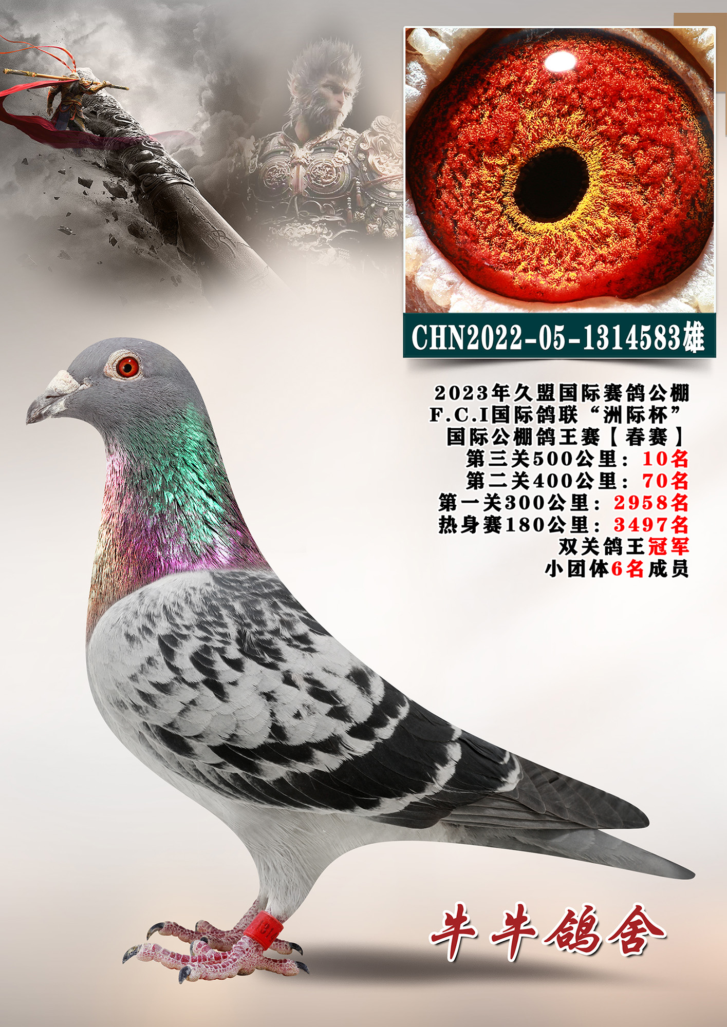 ��������������܊