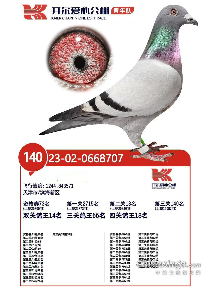 �_������