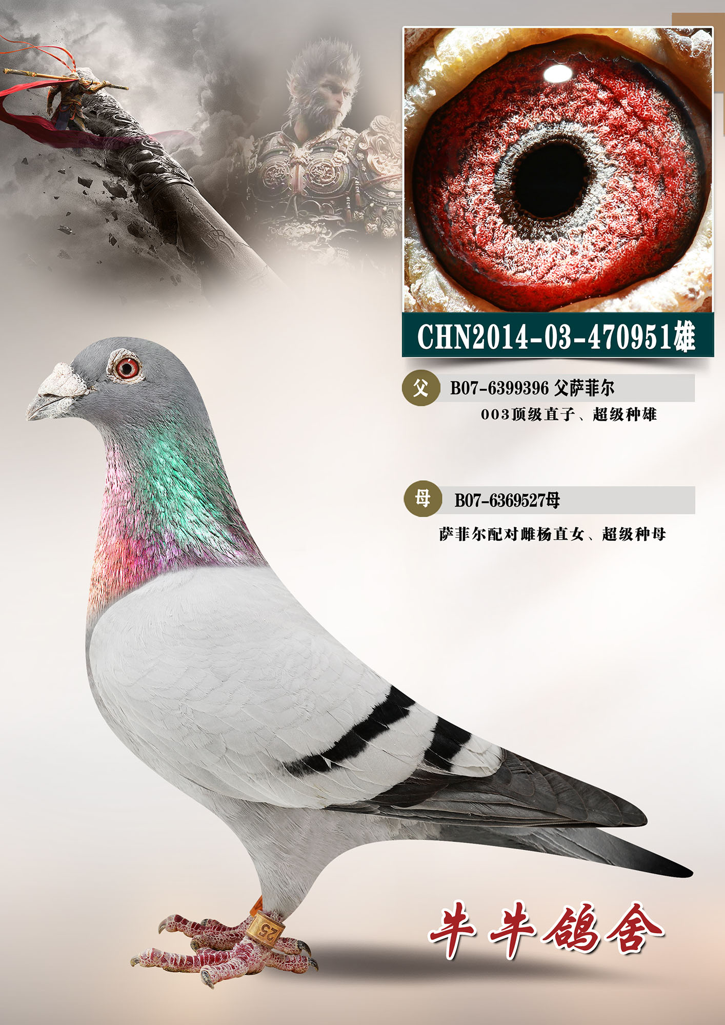 ����003���ƶ�֮��