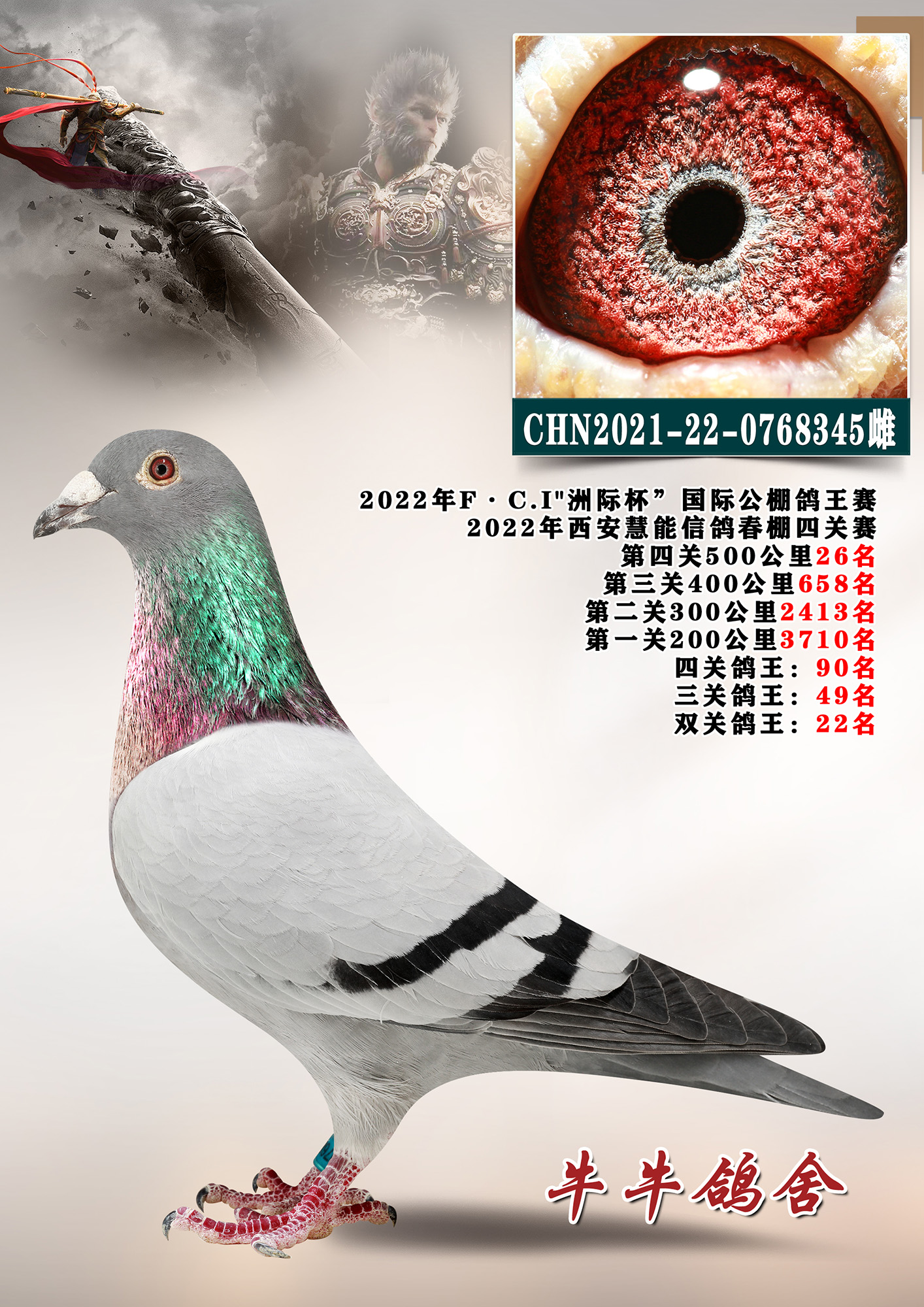 ��������26��