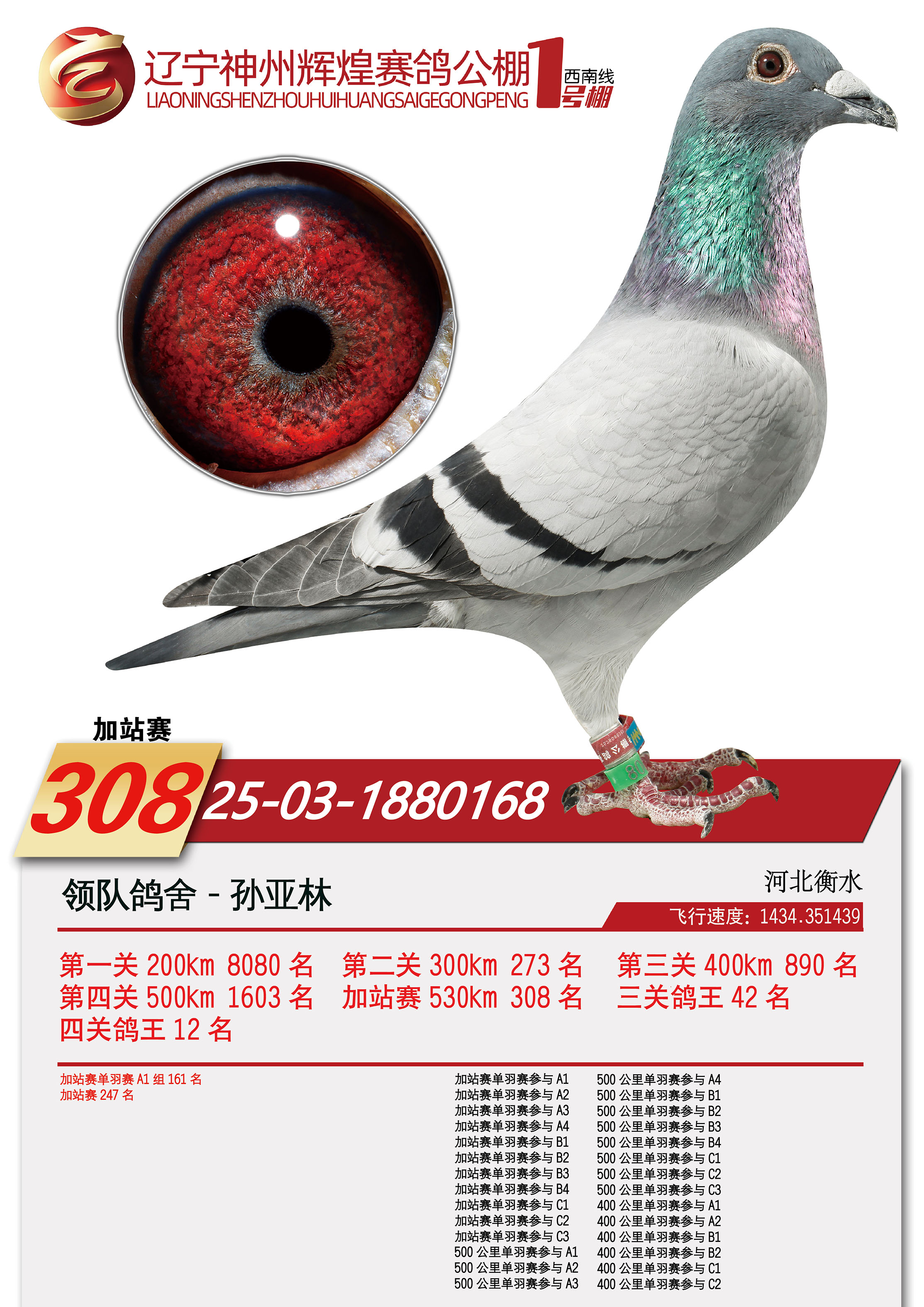 ����308��