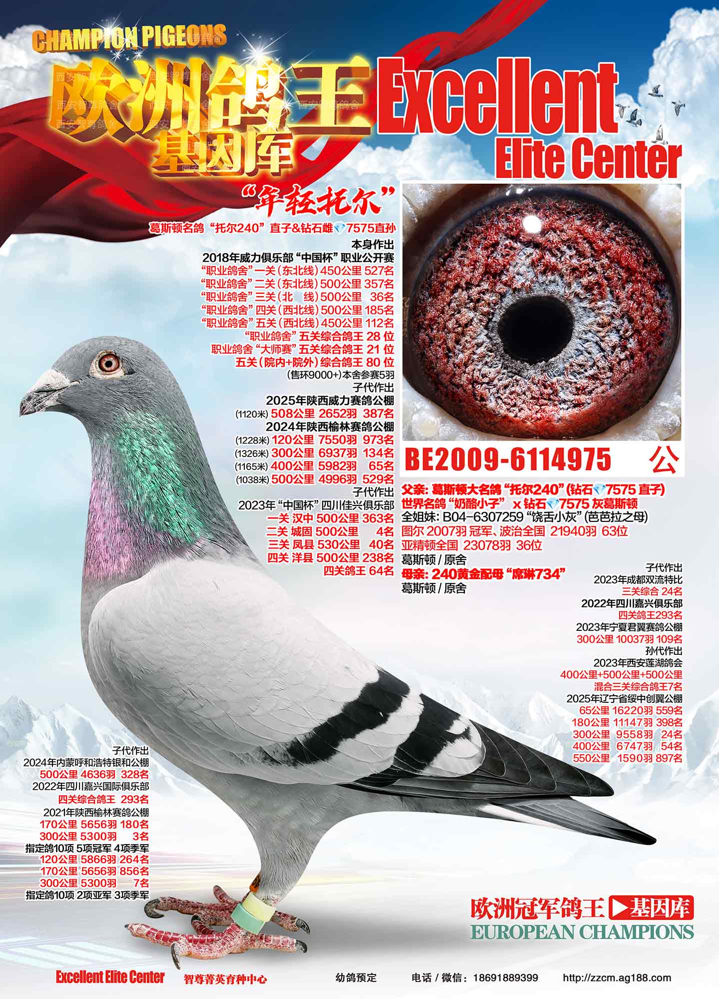 ����240ֱ�ӣ����u(m��i)Ʒ��