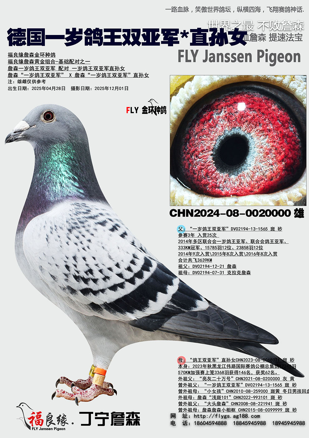 �¹�һ�����˫�Ǿ�*ֱ��Ů