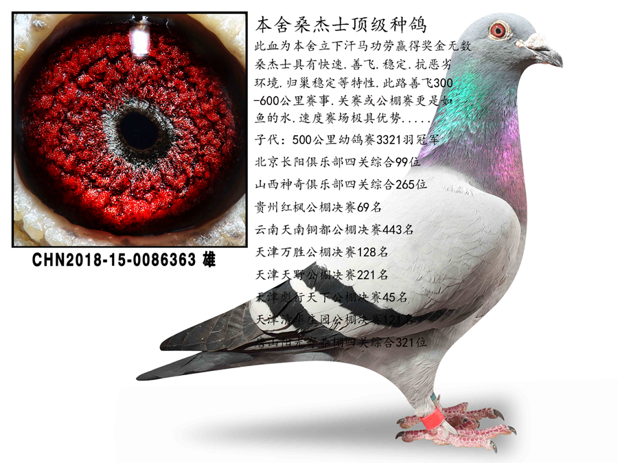 ����ɣ��ʿ��������