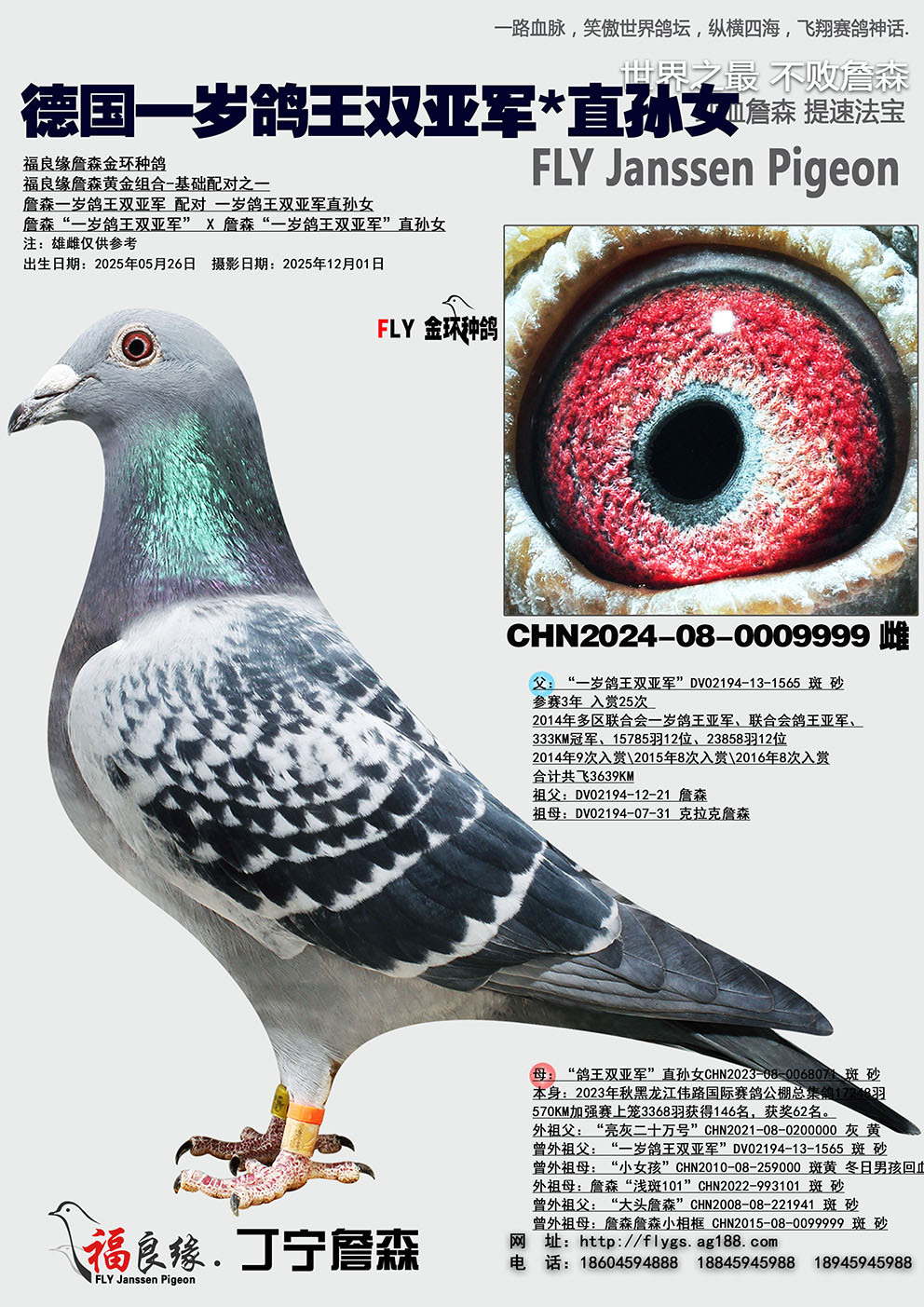 �¹�һ�����˫�Ǿ�*ֱ��Ů