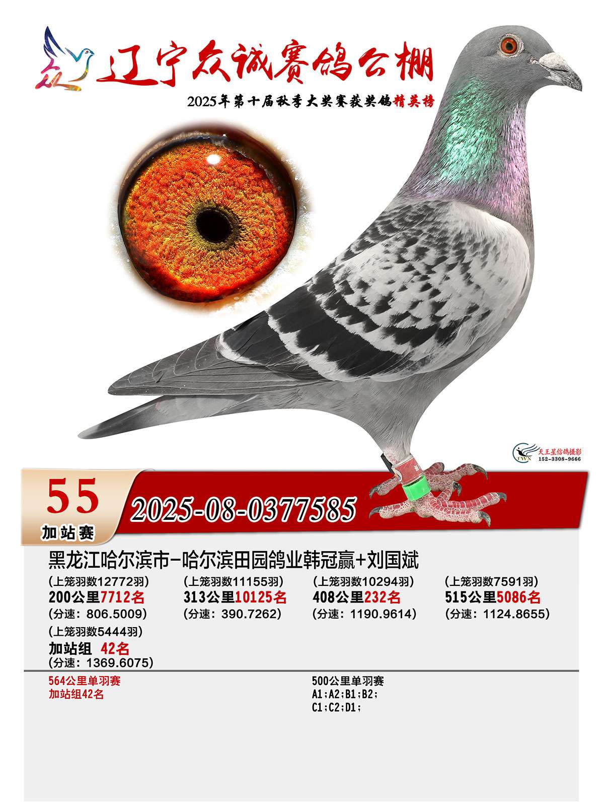 ����ɼ���