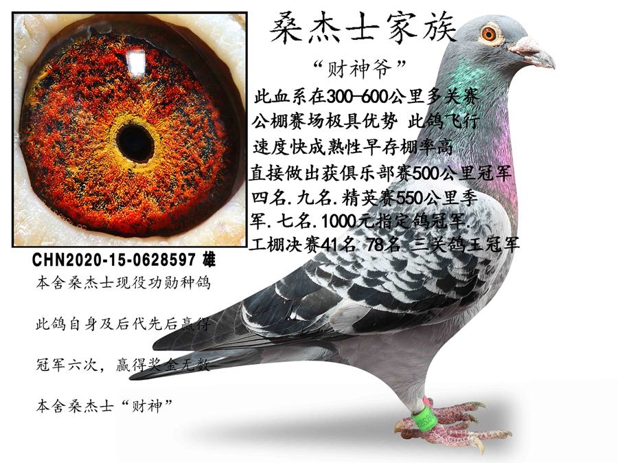 ɣ��ʿ���塰����ү��