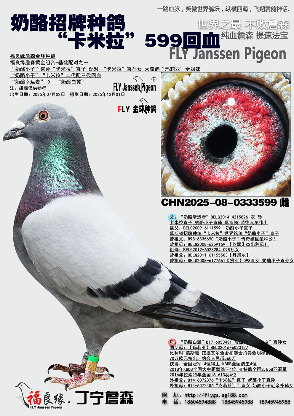 ���������ָ롰��������599��Ѫ