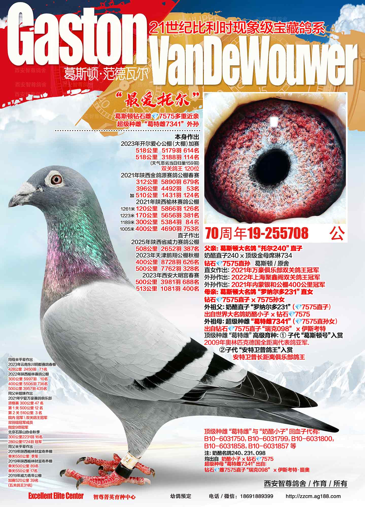 �_����ِ����֮��