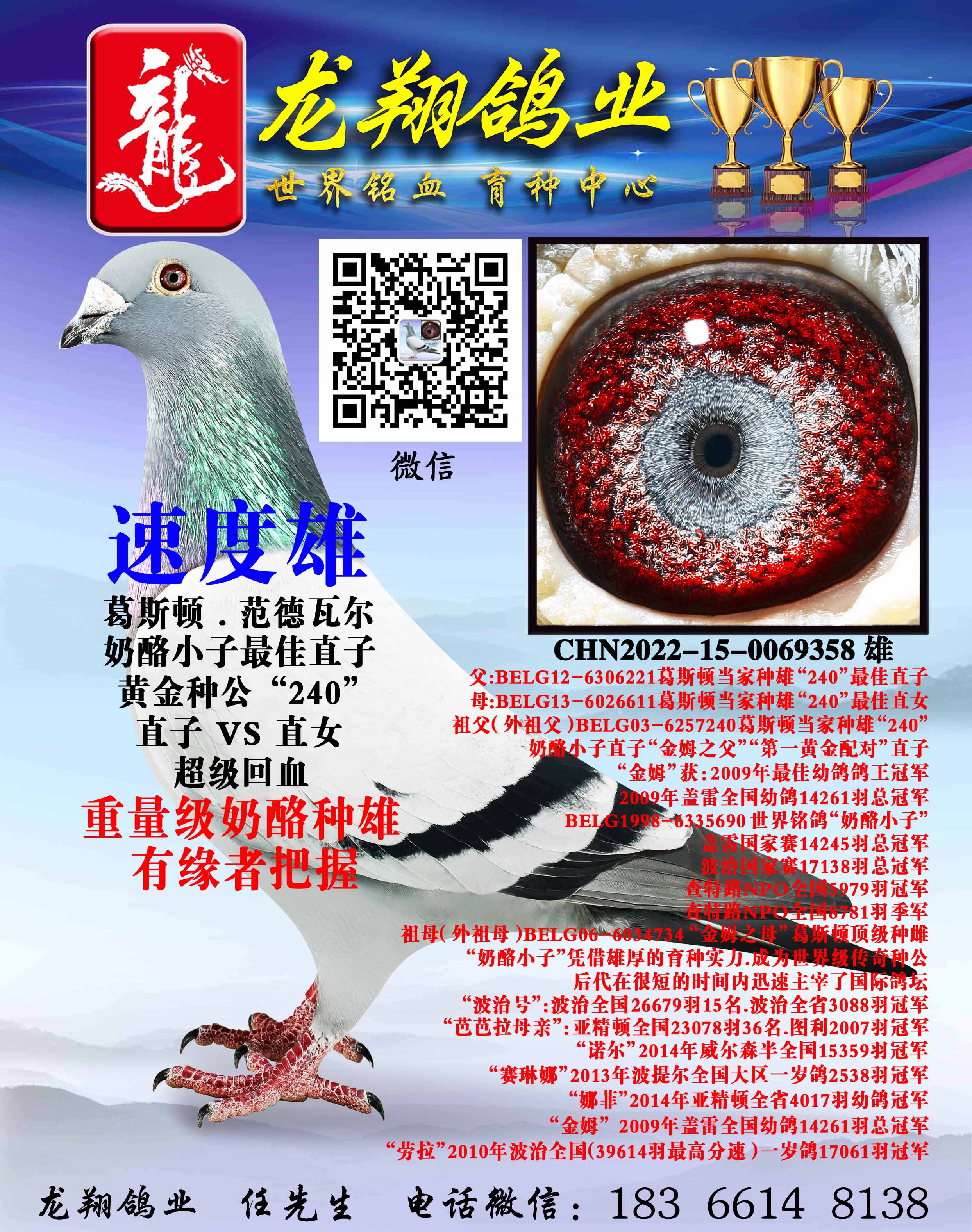 ��������С���۳���