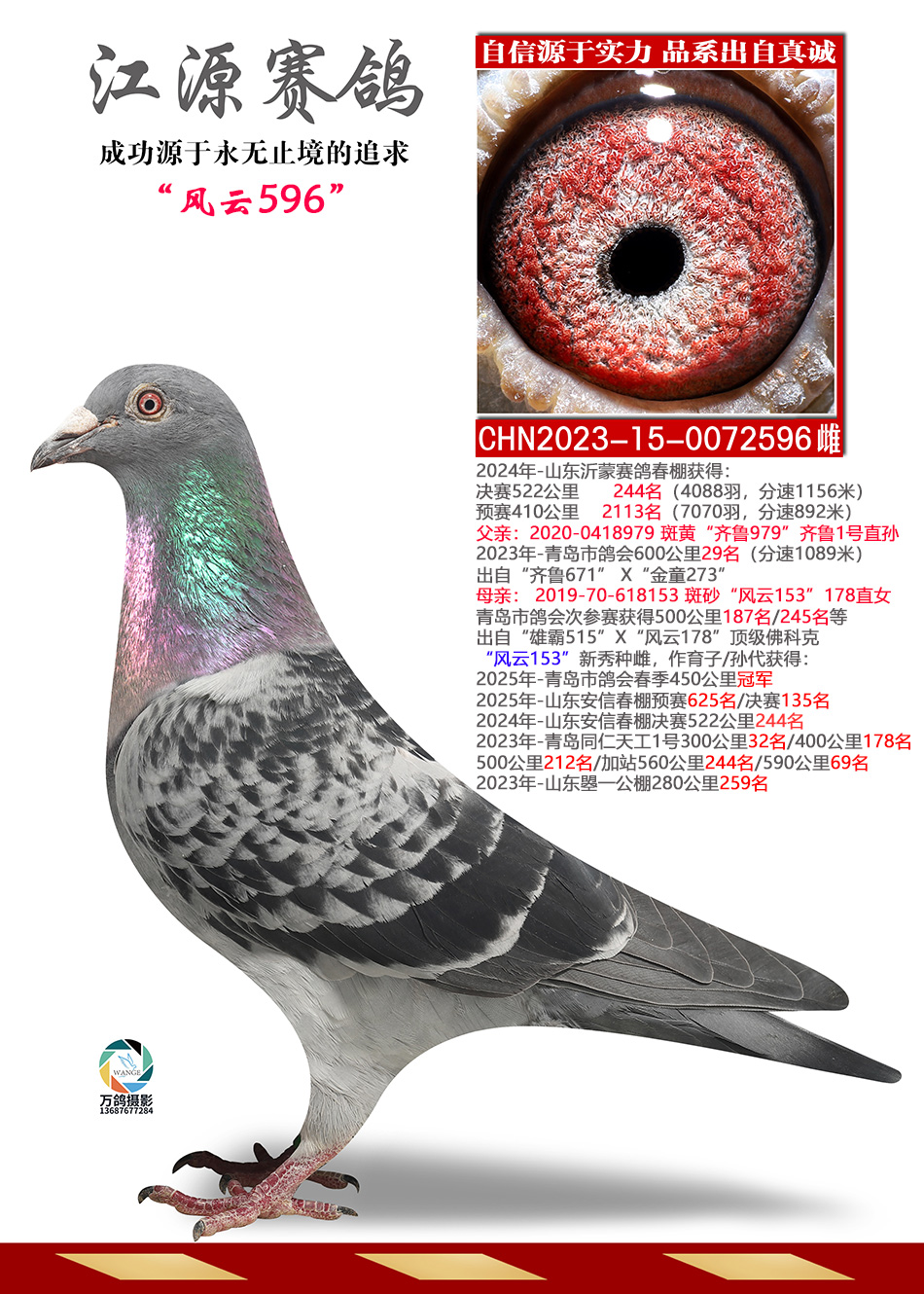 ����596-178����Ů